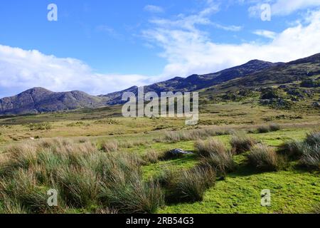 CAHA-Berge südlich von Ardgroom auf der Beara-Halbinsel, County Cork, Irland - John Gollop Stockfoto