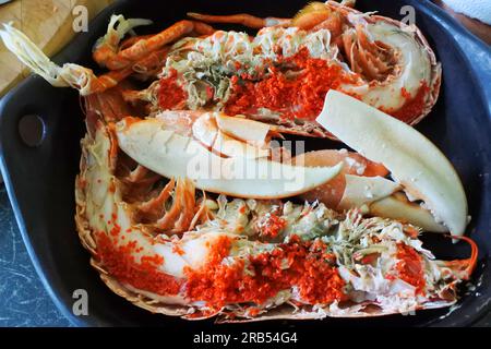 Gekochter Hummer, fertig zum Essen - John Gollop Stockfoto