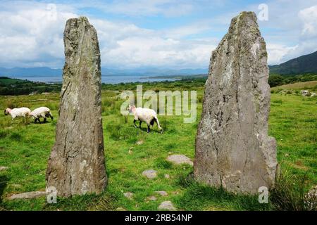 Ardgroom Stone Circle, County Cork, Irland - John Gollop Stockfoto