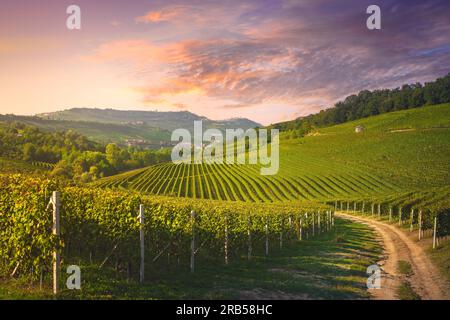 Langhe Weinberge bei Sonnenuntergang, Barolo und La Morra Dörfer im Hintergrund, UNESCO-Weltkulturerbe, Piemont-Region. Italien, Europa. Stockfoto