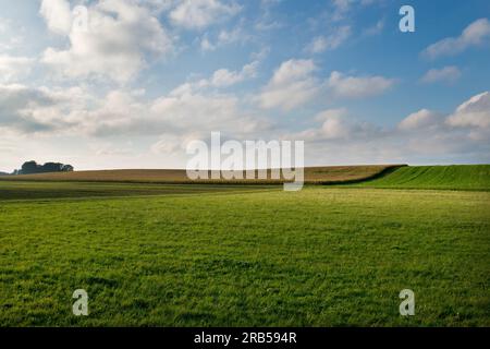 Rund um dachau. Bayern. Deutschland Stockfoto