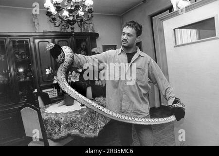 Mann mit Python Stockfoto