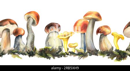 Essbare Waldpilze, Porchini, Boletus, Pfifferlinge mit Moos. Aquarell, handgezeichnet. Nahtloser Rahmen auf weißem Hintergrund. Stockfoto
