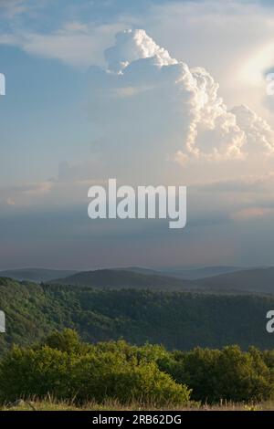 Dichte, hoch aufragende vertikale Wolke, ein Cumulonimbus, erleuchtet von der untergehenden Sonne über einer bewaldeten, hügeligen Landschaft in den Vogesen Stockfoto