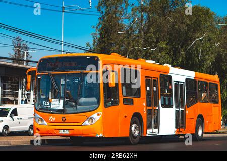 Santiago, Chile - März 16 2023: Öffentlicher Nahverkehr Transantiago oder Red Metropolitana de Movilidad, Bus auf der Route F19 Stockfoto