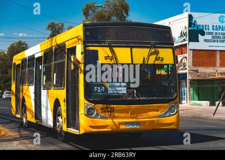 Santiago, Chile - März 16 2023: Öffentlicher Nahverkehr Transantiago oder Red Metropolitana de Movilidad, Bus auf der Route F14 Stockfoto