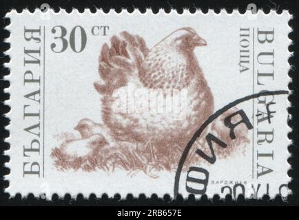 RUSSLAND KALININGRAD, 26. MÄRZ 2019: Der von Bulgarien gedruckte Stempel zeigt Hühnchen, ca. 1991 Stockfoto