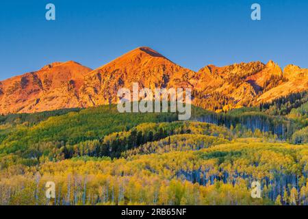 Die Kebler Pass Road in Colorado bringt Herbstfarben in die USA. Stockfoto