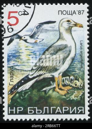 RUSSLAND KALININGRAD, 26. MÄRZ 2019: Der von Bulgarien gedruckte Stempel zeigt Möwe, ca. 1987 Stockfoto