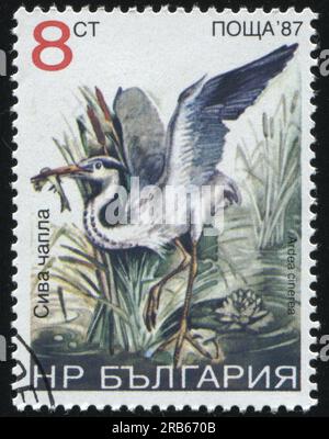 RUSSLAND KALININGRAD, 26. MÄRZ 2019: Stempel gedruckt von Bulgarien zeigt Reiher, ca. 1987 Stockfoto