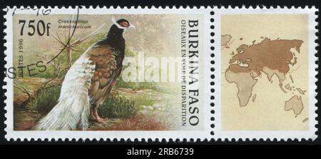 RUSSLAND KALININGRAD, 26. MÄRZ 2019: Stempel gedruckt von Burkina Faso zeigt Pfau, ca. 1996 Stockfoto