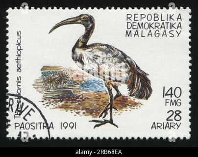 RUSSLAND KALININGRAD, 26. MÄRZ 2019: Der von Madagaskar gedruckte Stempel zeigt Reiher, ca. 1991 Stockfoto