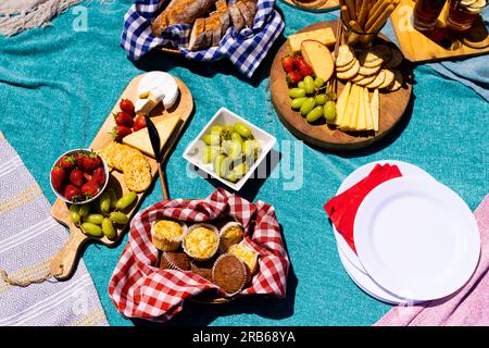 Nahaufnahme von blauen Decken mit Lebensmitteln auf Schneidebrettern und Tellern. Picknick, Zeit zur freien Verfügung, Getränke und Speisen, unveränderte Speisen. Stockfoto