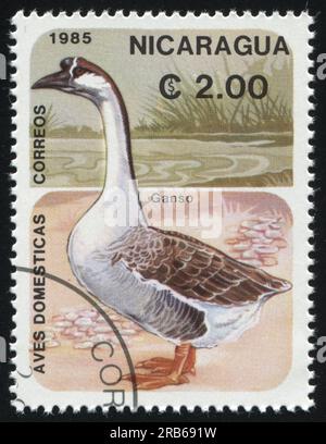 RUSSLAND KALININGRAD, 26. MÄRZ 2019: Stempel gedruckt von Nicaragua zeigt Gans, circa 1985 Stockfoto