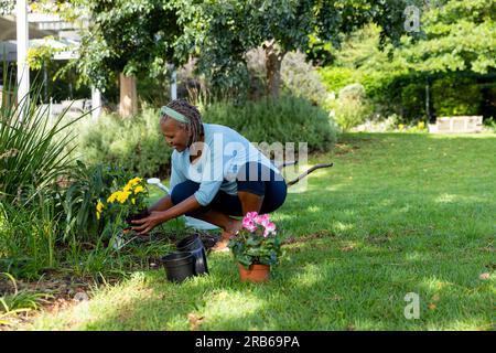 Glückliche afroamerikanische Seniorin Plantingh Blumen im sonnigen Garten zu Hause. Seniorenleben, Hobbys und Gartenarbeit, Ruhestand, unverändert. Stockfoto