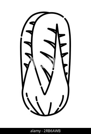 Schwarze und weiße Vektorlinien für Chinakohl Stock Vektor