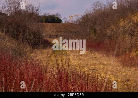 Die orangefarbene Herbstvegetation rund um Palmanova, Italien Stockfoto