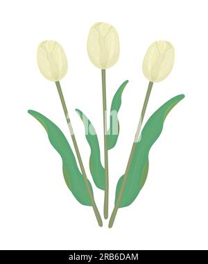 Drei gelbe Tulpen mit Blättern, farbenfrohe Illustration Stock Vektor