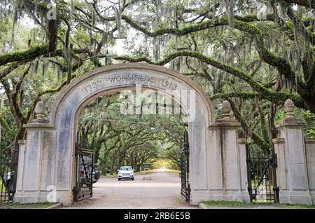 Eingangstor zur Wormsloe Plantation, Savannah, Georgia Stockfoto