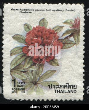 RUSSLAND KALININGRAD, 3. JUNI 2016: Von Thailand gedruckter Stempel zeigt Blume, etwa 1990 Stockfoto