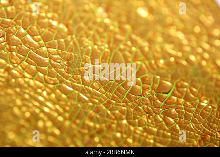 Gerissene goldene Farbe auf Leinwand Makro moderner Hintergrund hohe Qualität große Sofortdrucke getrocknete Malerei Kunst abstrahiert Goldrausch Stockfoto