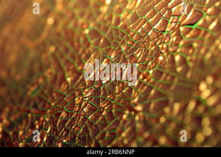 Gerissene goldene Farbe auf Leinwand Makro moderner Hintergrund hohe Qualität große Sofortdrucke getrocknete Malerei Kunst abstrahiert Goldrausch Stockfoto