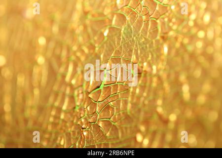 Gerissene goldene Farbe auf Leinwand Makro moderner Hintergrund hohe Qualität große Sofortdrucke getrocknete Malerei Kunst abstrahiert Goldrausch Stockfoto