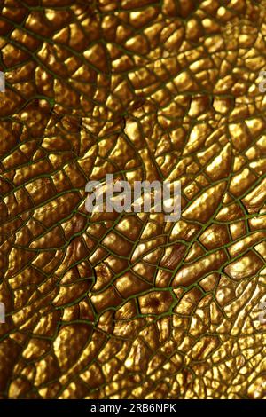 Gerissene goldene Farbe auf Leinwand Makro moderner Hintergrund hohe Qualität große Sofortdrucke getrocknete Malerei Kunst abstrahiert Goldrausch Stockfoto