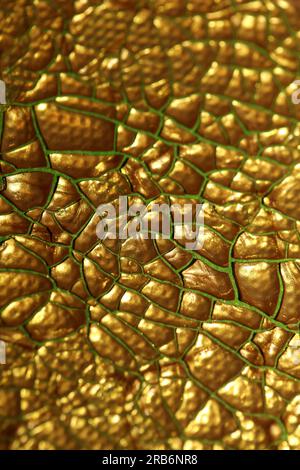 Gerissene goldene Farbe auf Leinwand Makro moderner Hintergrund hohe Qualität große Sofortdrucke getrocknete Malerei Kunst abstrahiert Goldrausch Stockfoto