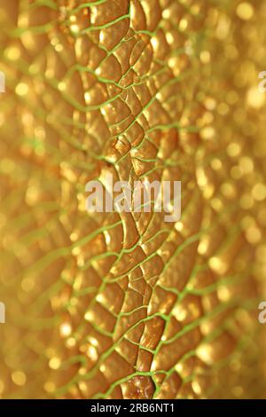 Gerissene goldene Farbe auf Leinwand Makro moderner Hintergrund hohe Qualität große Sofortdrucke getrocknete Malerei Kunst abstrahiert Goldrausch Stockfoto