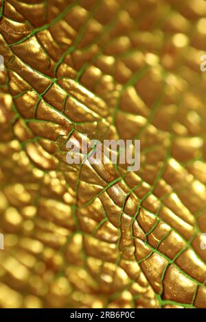 Gerissene goldene Farbe auf Leinwand Makro moderner Hintergrund hohe Qualität große Sofortdrucke getrocknete Malerei Kunst abstrahiert Goldrausch Stockfoto