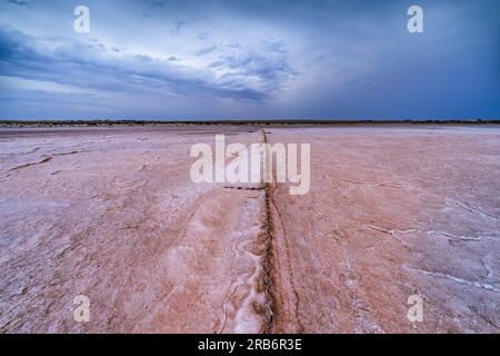 Eine Zaunlinie, die durch einen Salzsee in Richtung eines stürmischen Himmels am Lake Tyrrell in der Nähe des Sea Lake in Victoria, Australien verläuft. Stockfoto