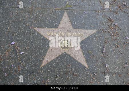 Hollywood, Kalifornien, USA 7. Juli 2023 Schauspieler Marlon Brando Hollywood Walk of Fame Star am 7. Juli 2023 in Hollywood, Kalifornien, USA. Foto: Barry King/Alamy Stock Photo Stockfoto