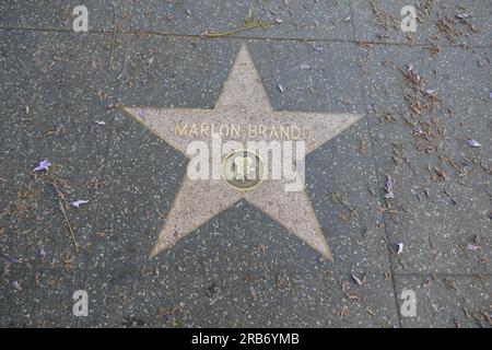 Hollywood, Kalifornien, USA 7. Juli 2023 Schauspieler Marlon Brando Hollywood Walk of Fame Star am 7. Juli 2023 in Hollywood, Kalifornien, USA. Foto: Barry King/Alamy Stock Photo Stockfoto