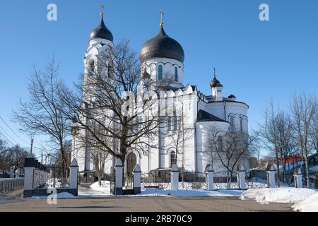 Blick auf die antike Kathedrale von Michael dem Erzengel an einem sonnigen Märztag. Lomonosow (Oranienbaum). Das Viertel St. Petersburg, Russland Stockfoto