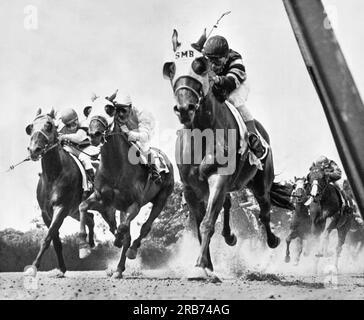 Elmont, New York: 29. August, 1961 Pferde auf der Rennstrecke Belmont Park. Front Three, L-R: Golf Maler, Chilly Dip und Scamandra. Das Rennen wurde von Hard Rock man im richtigen Hintergrund gewonnen, während er sich auf der Schiene bewegt. Stockfoto