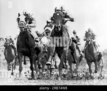 Oceanfront, New Jersey: 10. Juni 1961. White River mit dem Jockey Tommy Barrow im Sattel spritzt durch den Schlamm den Rückweg hinunter und gewinnt. Stockfoto