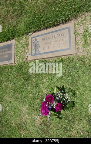 Culver City, Kalifornien, USA 6. Juli 2023 Schauspielerin Bela Lugosi Grab in der Grotto Section auf dem Holy Cross Cemetery am 6. Juli 2023 in Culver City, Kalifornien, USA. Foto: Barry King/Alamy Stock Photo Stockfoto