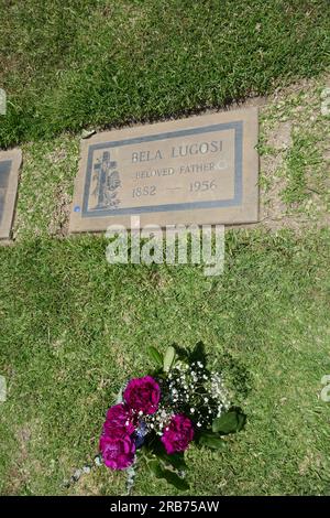 Culver City, Kalifornien, USA 6. Juli 2023 Schauspielerin Bela Lugosi Grab in der Grotto Section auf dem Holy Cross Cemetery am 6. Juli 2023 in Culver City, Kalifornien, USA. Foto: Barry King/Alamy Stock Photo Stockfoto