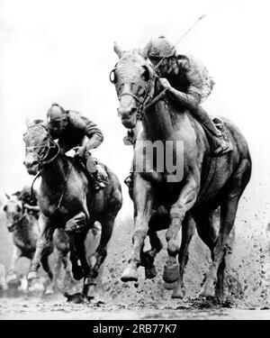 Camden, New Jersey: November 1960 Ein Moor-Tannenmotiv mit Jockey Howard Grant kommt vom Feld in die Seile und gewinnt das erste Rennen im Garden State Park. Stockfoto