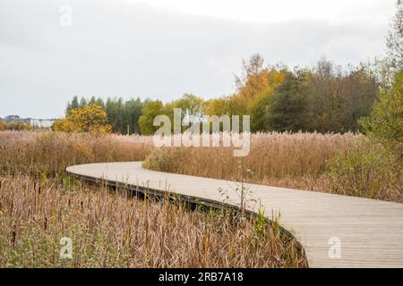 Holzweg zum gelben Feld Stockfoto