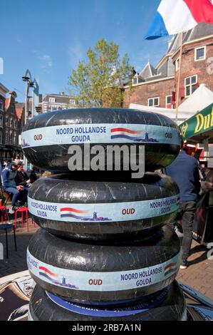 Noord Hollandse Gouda zum Verkauf in Nieuwmarkt, Amsterdam, Niederlande Stockfoto