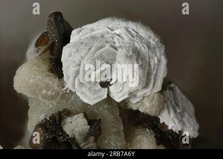 Donnayite-(Y) — Steinbruch Poudrette, Mont Saint-Hilaire, La Vallée-du-Richelieu RCM, Montérégie, Québec, Kanadische 1,18-mm-Rose Donnayite-(Y)-Klingen. Stockfoto