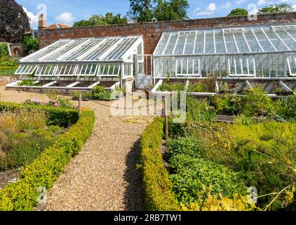 Ummauerter Küchengarten Redisham Hall Gardens and Plant Nursery, Redisham, Suffolk, England, Großbritannien Stockfoto