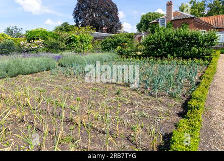 Ummauerter Küchengarten Redisham Hall Gardens and Plant Nursery, Redisham, Suffolk, England, Großbritannien Stockfoto