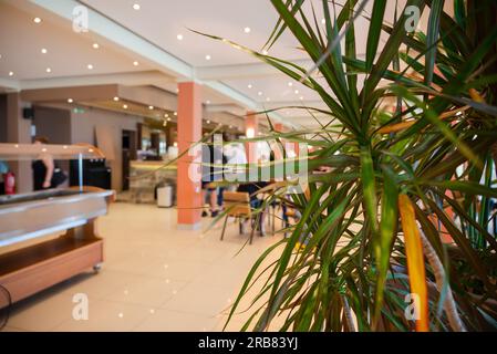 Verschwommenes Foto einer Hotelbar, in der Gäste Getränke bestellen und sich entspannen können. Palme im Fokus. Speicherplatz kopieren. Stockfoto