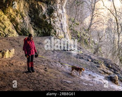 Innenansicht einer Frau, die mit ihrem Hund am Eingang steht Stockfoto