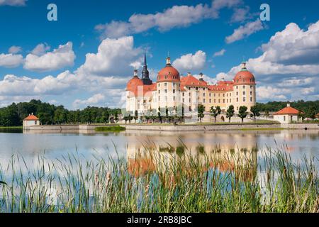 Schloss Moritzburg im Sommer, Sachsen, Deutschland Stockfoto