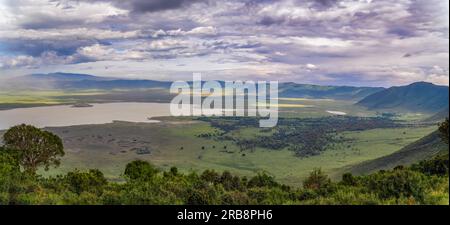 Panoramablick auf den Ngorongoro-Krater Stockfoto