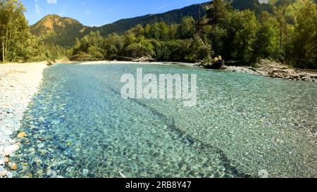 Winziger, klarer, kalter Fluss mit Kieselsteinen im Arkhyz Mountain Ridge - Foto der Natur Stockfoto